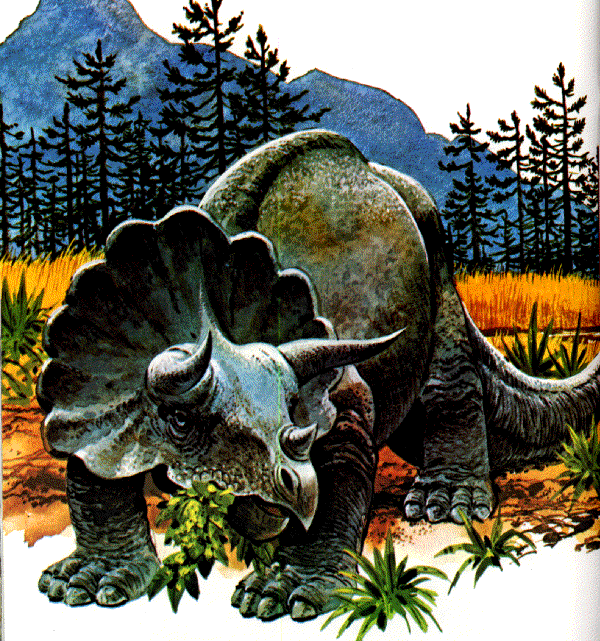 tops triceratops